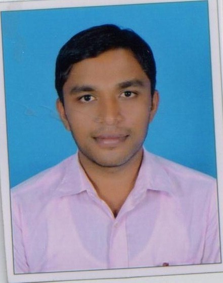 PATEL BHAVIKKUMAR MANUBHAI,Professor